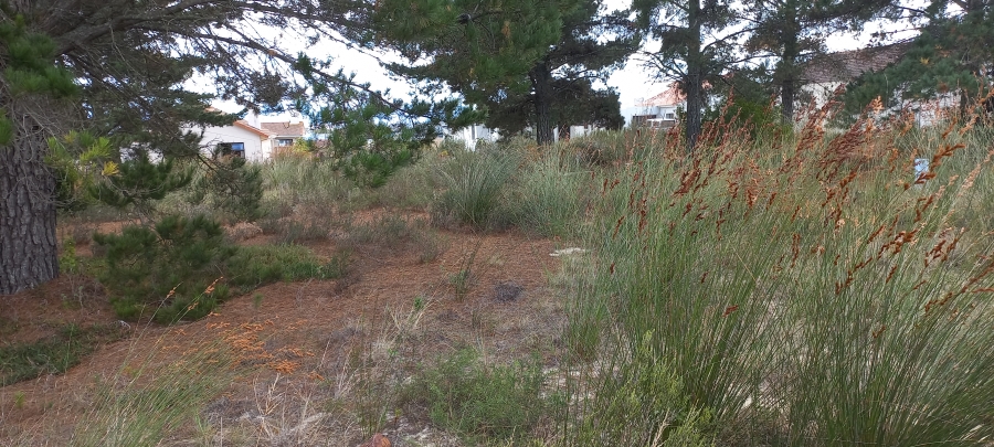 0 Bedroom Property for Sale in Albertinia Western Cape